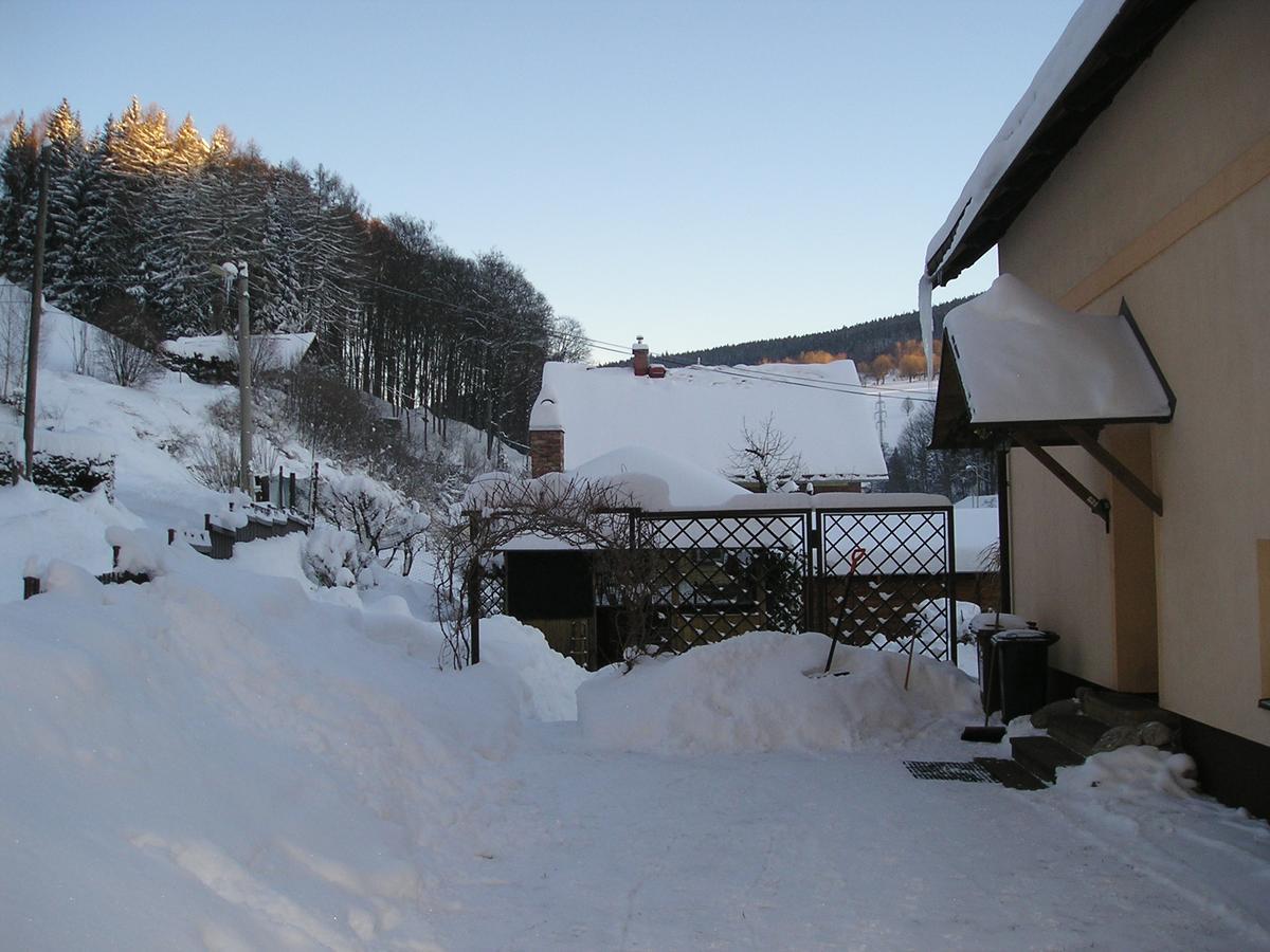 Apartman Svoboda Svoboda nad Úpou Exterior foto
