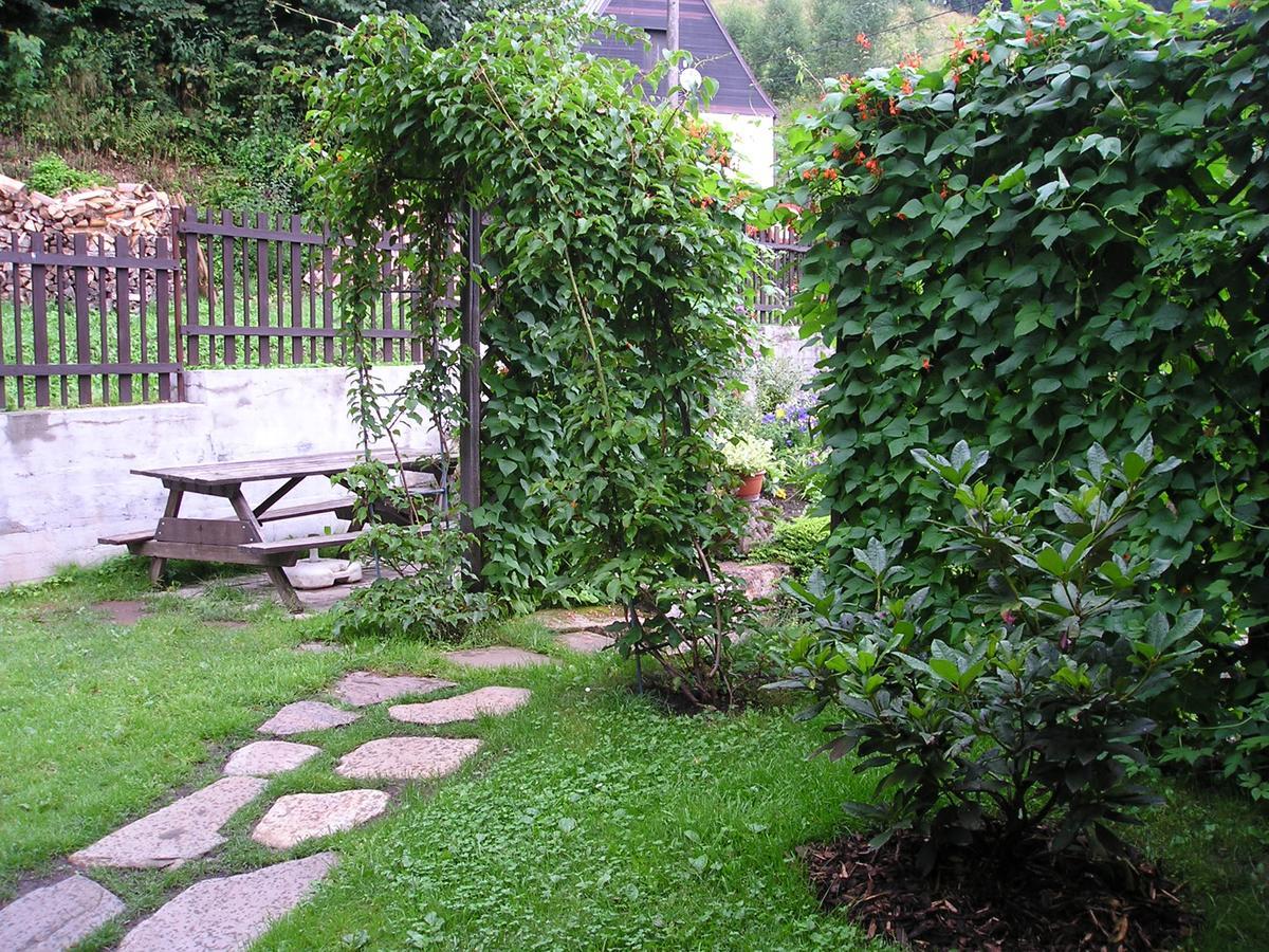 Apartman Svoboda Svoboda nad Úpou Exterior foto